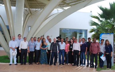 Encontro de Coordenadores de Leilão 2013