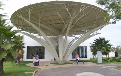 Técnica agiliza tratamentos contra câncer de boca para pacientes em MT