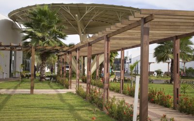 Julho Verde: Hospital de Câncer atenderá mil pessoas gratuitamente nesta quinta