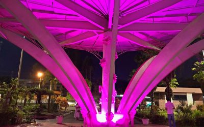 Hospital de Câncer realiza jornada de Reconstrução Mamária