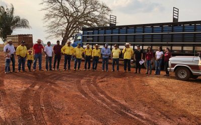 Arenápolis e parceiros realizam 5º Leilão em prol do HCanMT