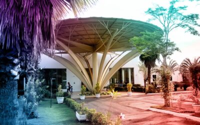 DOCUMENTOS FEEF NOVEMBRO 2022