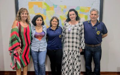 Bolos saem por R$ 10 mil em Leilão de Canarana