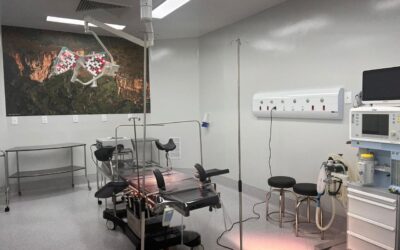 ARTIGO – Centro Cirúrgico: o lar de muitos profissionais de saúde